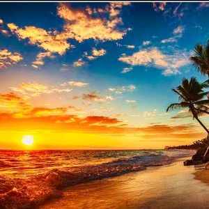 ♥️🌟♥️🌟♥️🌟♥️🌟♥️🌟♥️🌟♥️🌟♥️🌟